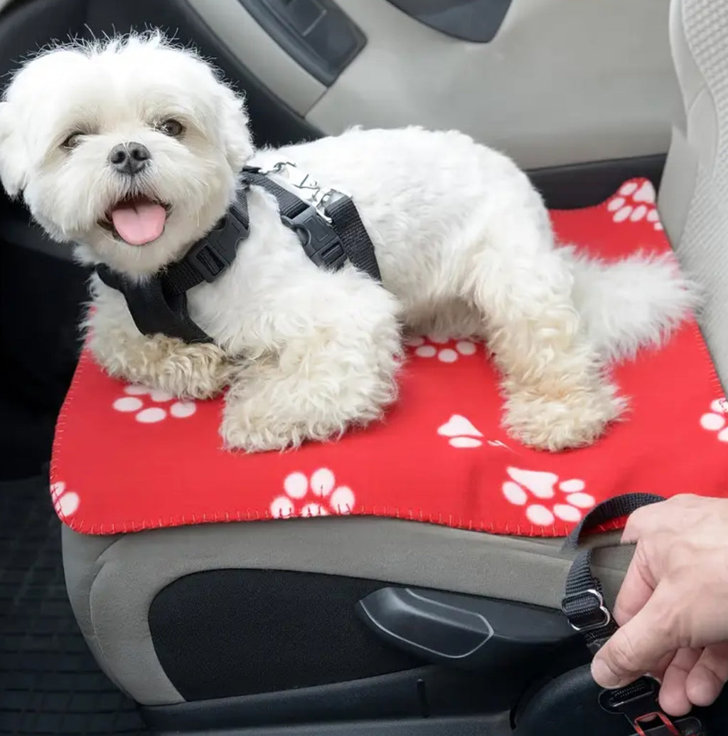 Cozy Blanket. Easy Wash.