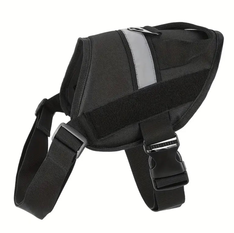 Adjustable Dog Harness with Padded Chest