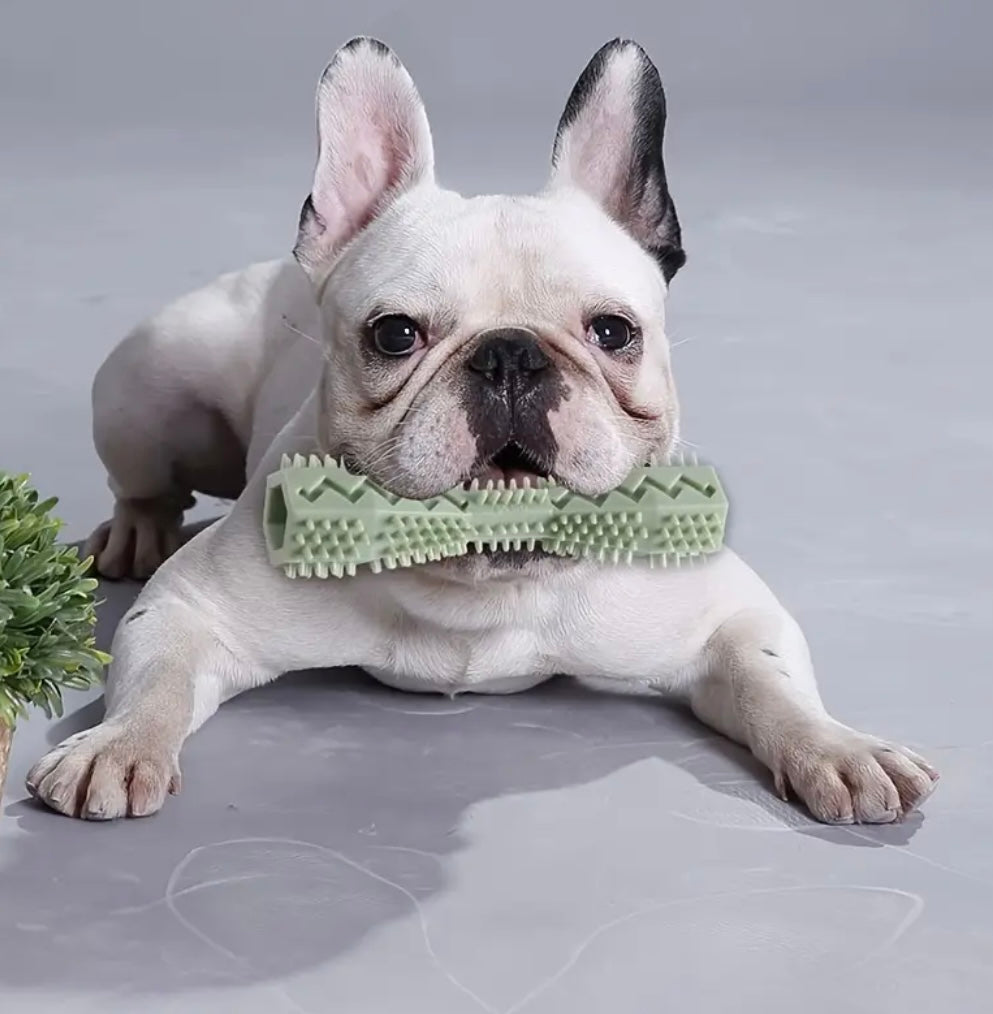 Dog Toothbrush Toy