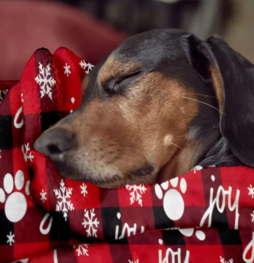 Irritating Resistant Dog Blanket