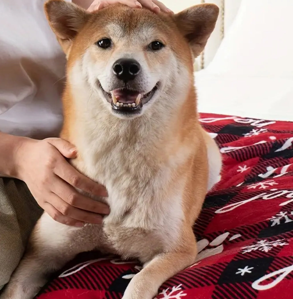 Irritating Resistant Dog Blanket