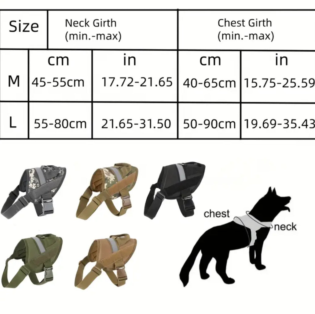 Adjustable Dog Harness with Padded Chest