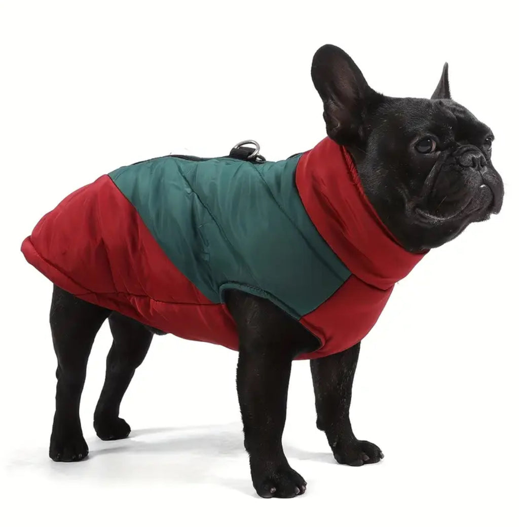 Winter dog coat
